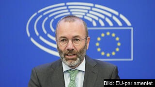 Tysken Manfred Weber leder den konservativa och kristdemokratiska partigruppen EPP i EU-parlamentet. Arkivbild.