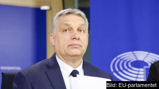 Premiärminister Viktor Orbán har lett landet bort från rättsstatlighet, demokrati och begränsat flera fri och rättigheter, konstateras i ett uttalande från Europaparlamentet i veckan. 