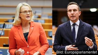 Europaparlamentarikerna Heléne Fritzon (S)  och Tomas Tobé (M). Det är oklart om de partier som Fritzon bjudit in till demokratimöte också kommer.