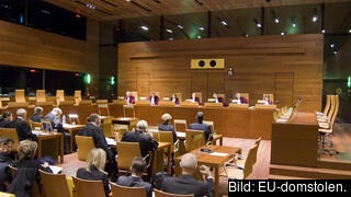 EU-domstolen har gett grönt ljus till EU att strypa pengar till länder som bryter mot rättsstatens principer, för att skydda EU:s budget. 