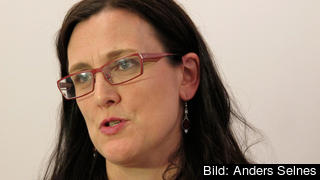 – Den globala brottsligheten cashar in enorma mängder pengar, sade Cecilia Malmström.