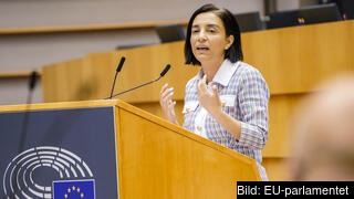 EU-parlamentarikern Evin Incir (S) har varit ansvarig för att ta fram parlamentets rapport mot rasism och diskriminering. 