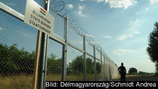 Stängsel längs den ungersk-serbiska gränsen. Arkivbild.