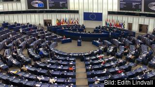 Polens premiärminister Mateusz Morawiecki i Europaparlamentet under tisdagens debatt den 19:e oktober. 