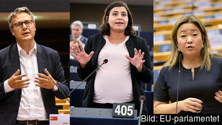 EU-parlamentarikerna Johan Danielsson (S), Abir Al-Sahlani (C) och Jessica Polfjärd (M).