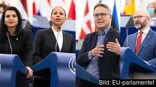 Europaparlamentarikerna Abir Al-Sahlani (C), Alice Bah Kuhnke (MP), Johan Danielsson (S) och Charlie Weimers (SD) oense om EU-parlamentets förslag för nya regler gällande arbetskraftsinvandring.