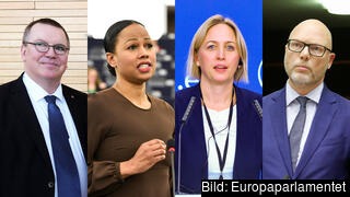 Erik Bergkvist (S), Alice Bah Kuhnke (MP), Jytte Guteland (S) och Jörgen Warborn (M) är bland de som haft högst närvaro av de svenska EU-parlamentarikerna.