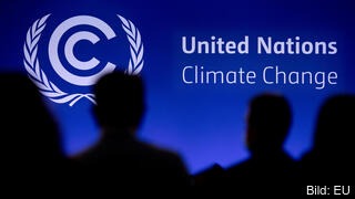 FN:s klimatkonferens COP27 äger rum i Egypten den 6–18 november och FN-konferensen om biologisk mångfald i Kanada den 7-19 december. Arkivbild.